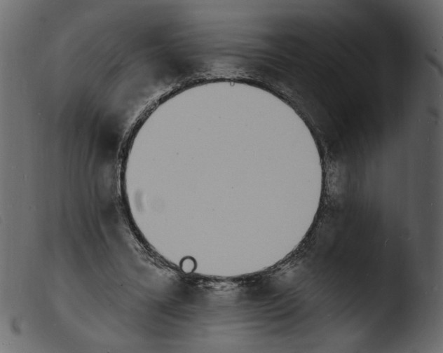 X0000103970395200810101313