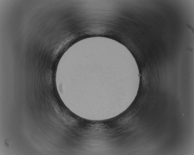 X0000103970396200810101313