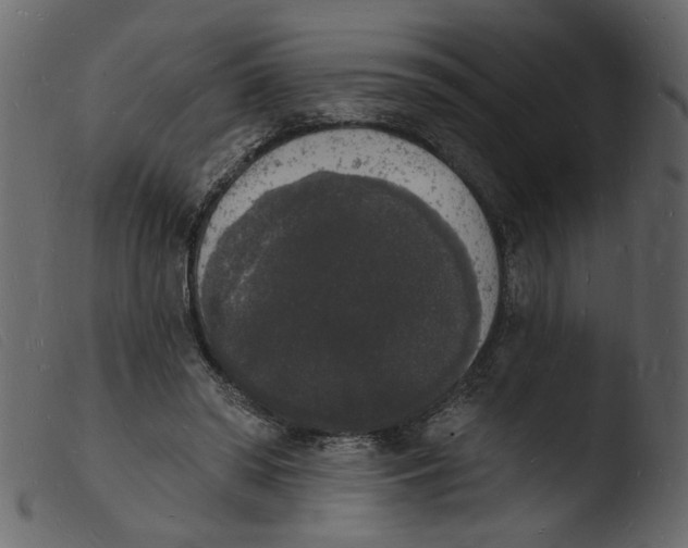 X0000103970398200810101313