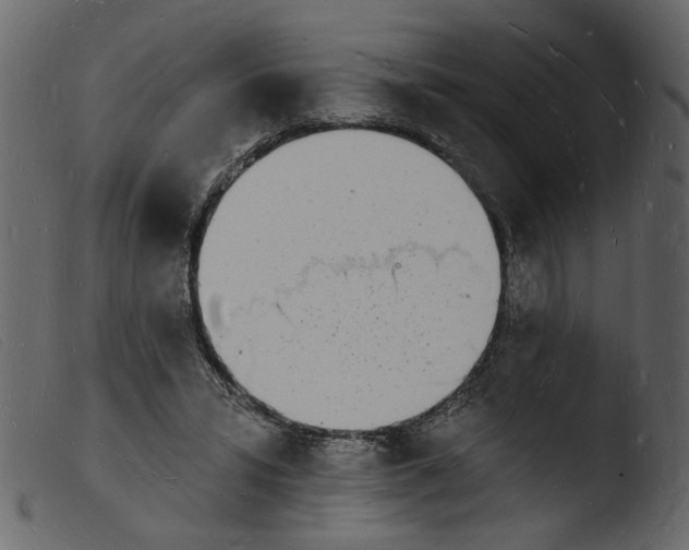 X0000103970399200810101313