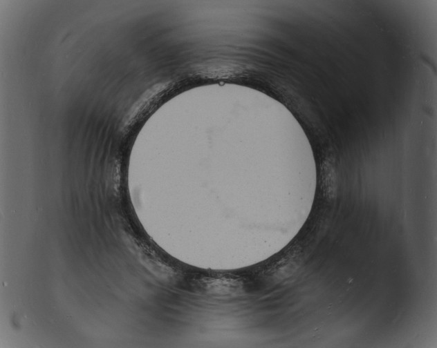 X0000103970400200810101313