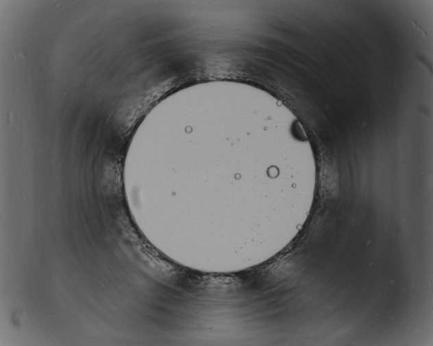 X0000103970401200810101313