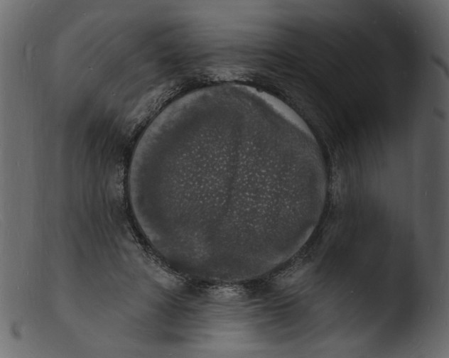 X0000103970402200810101313