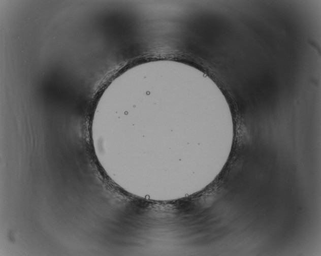 X0000103970403200810101313