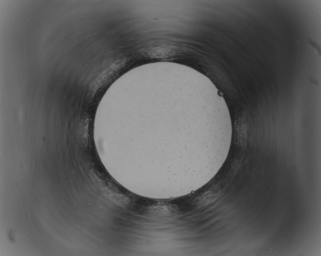 X0000103970404200810101313