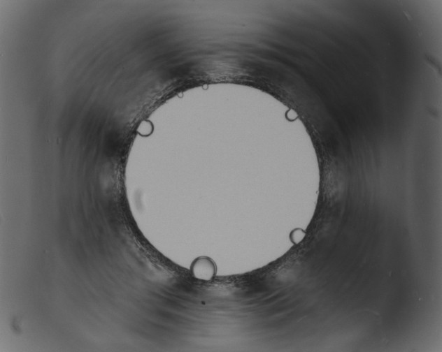 X0000103970405200810101313