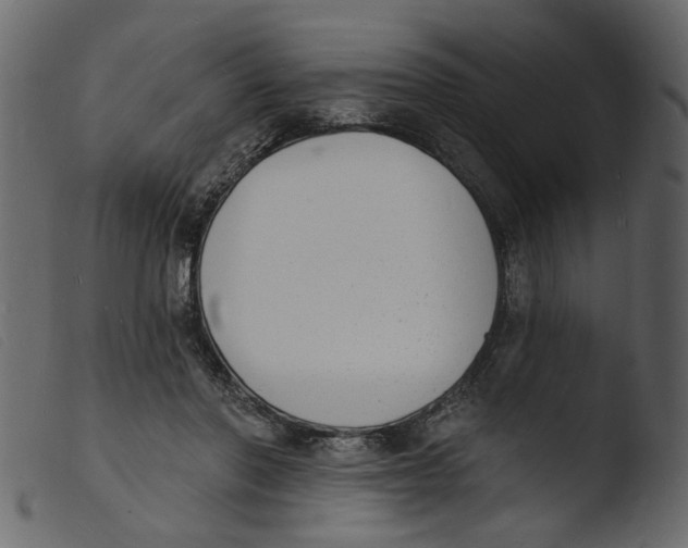 X0000103970406200810101313