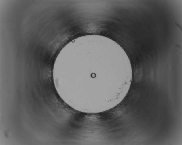 X0000103970407200810101313