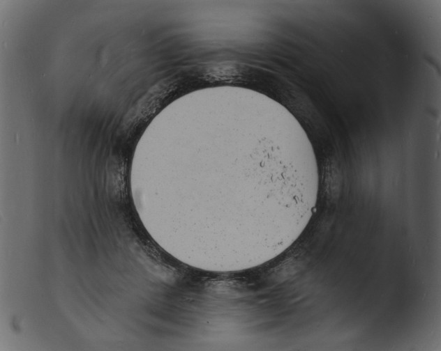 X0000103970408200810101313