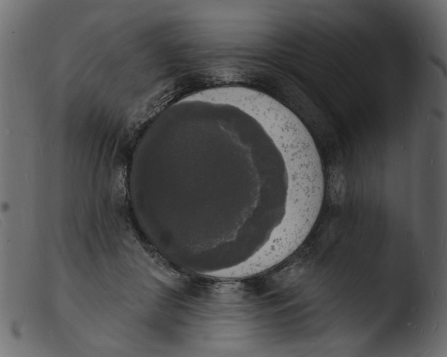 X0000103970410200810101313