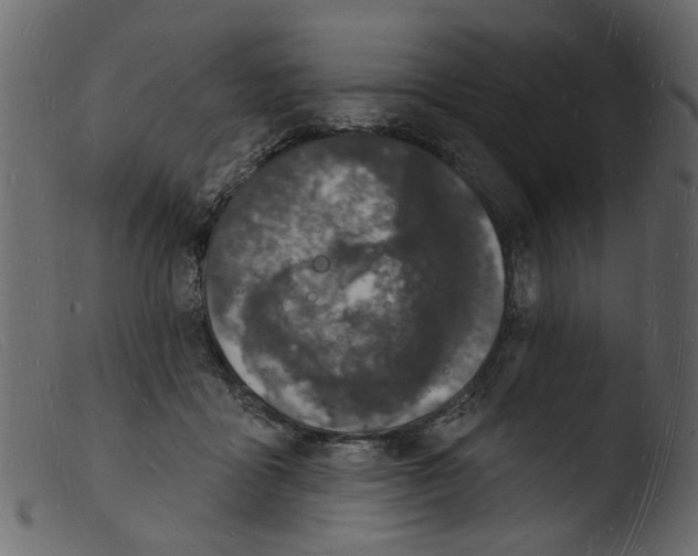 X0000103970411200810101313