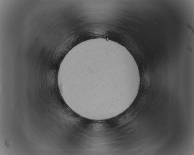 X0000103970412200810101313