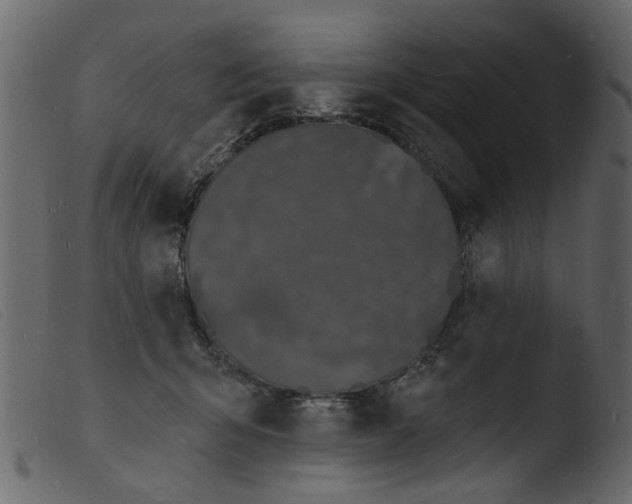 X0000103970415200810101313