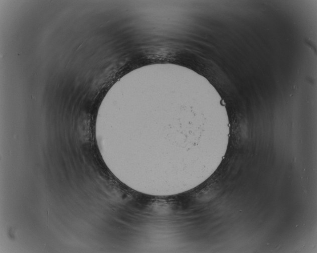 X0000103970416200810101313