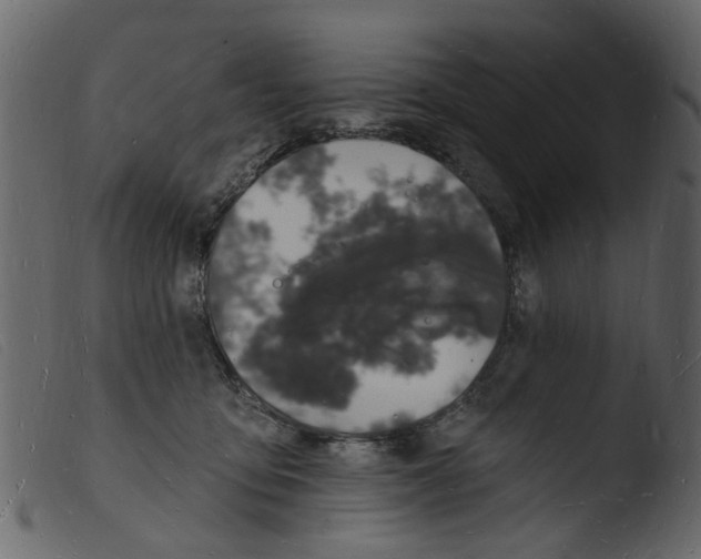 X0000103970419200810101313