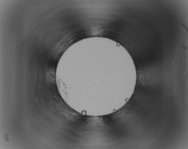 X0000103970421200810101313