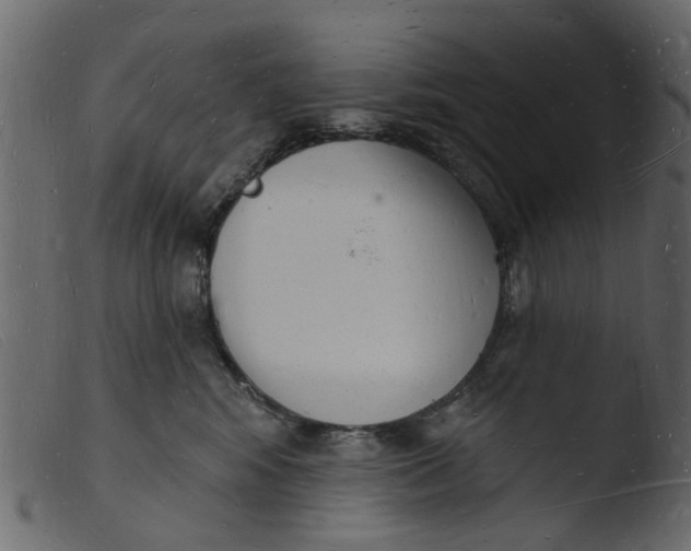 X0000103970424200810101312