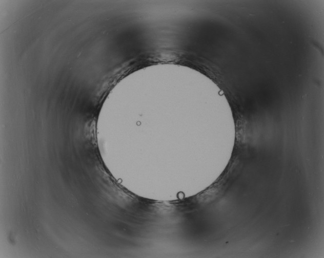 X0000103970425200810101312