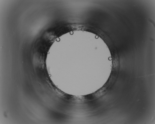 X0000103970429200810101312