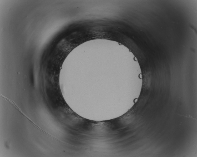 X0000103970430200810101312