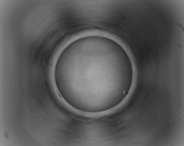 X0000103970431200810101312