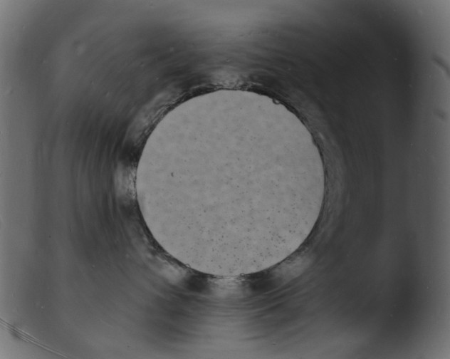 X0000103970432200810101312