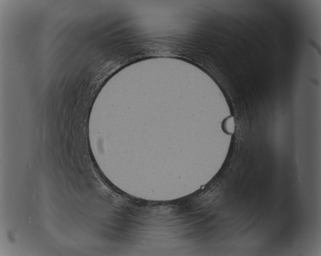 X0000103970433200810101312