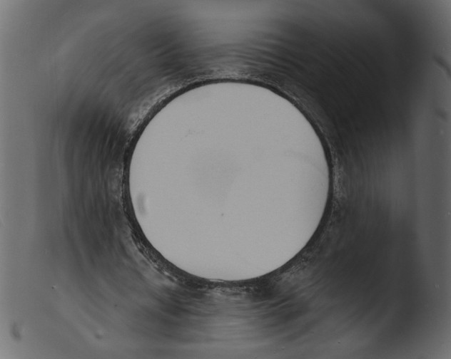 X0000103970434200810101312