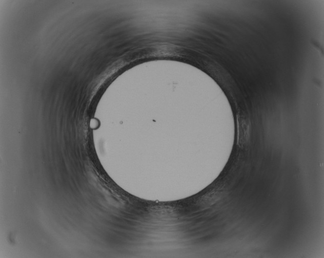 X0000103970435200810101312