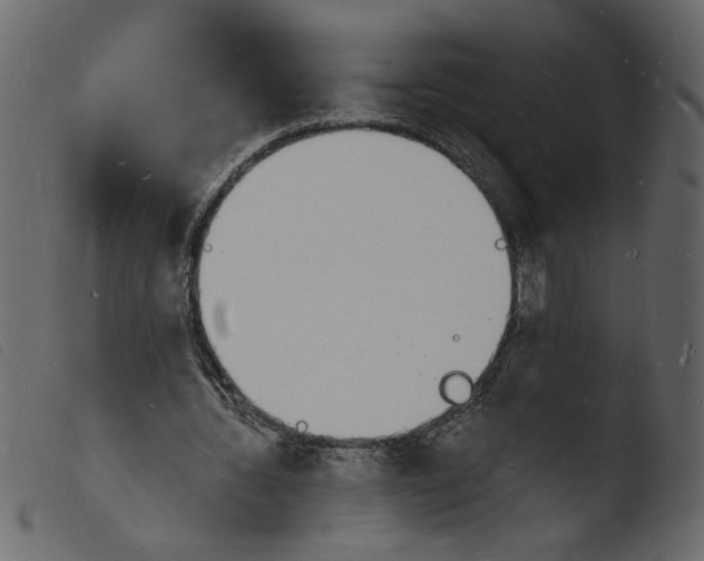 X0000103970436200810101312