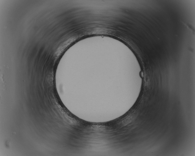 X0000103970437200810101312