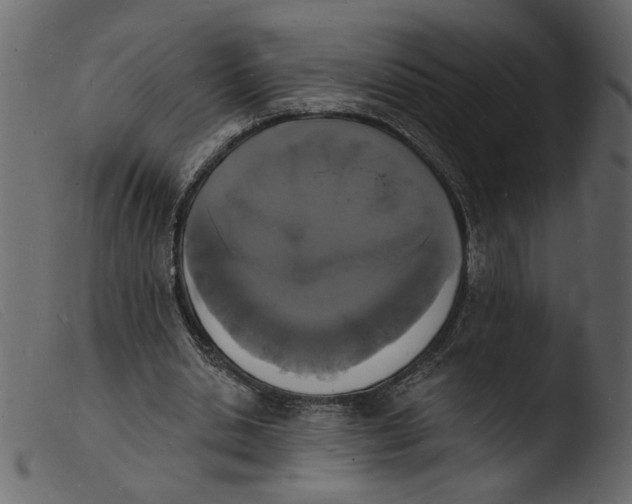 X0000103970438200810101312