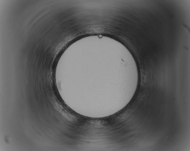 X0000103970439200810101312