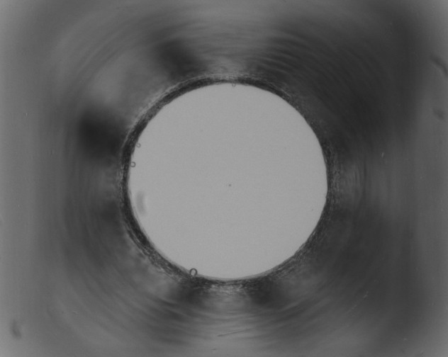 X0000103970440200810101312