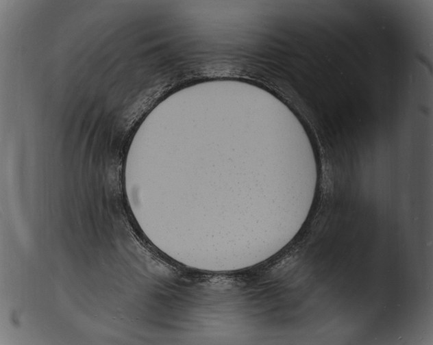 X0000103970441200810101312