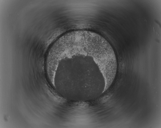 X0000103970443200810101312