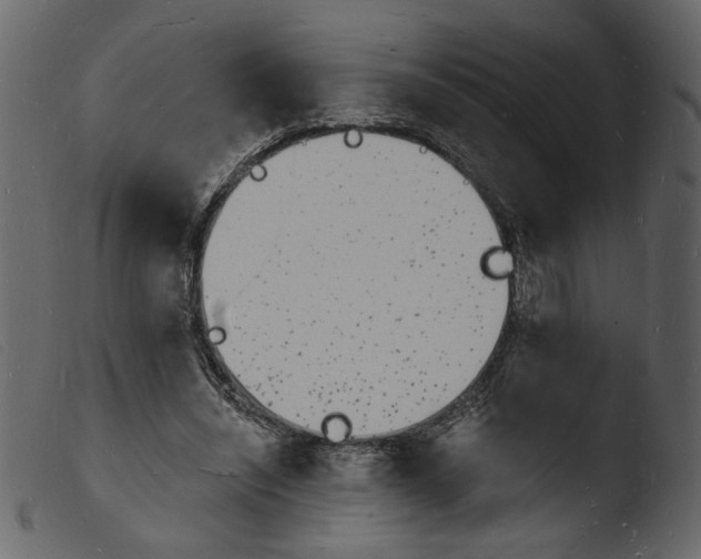 X0000103970444200810101312