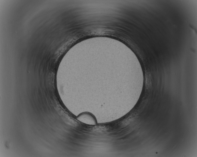 X0000103970445200810101312