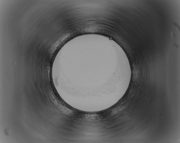 X0000103970446200810101312