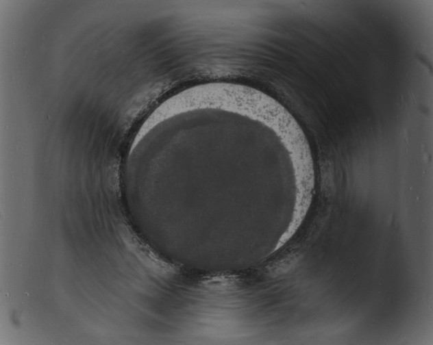 X0000103970447200810101312