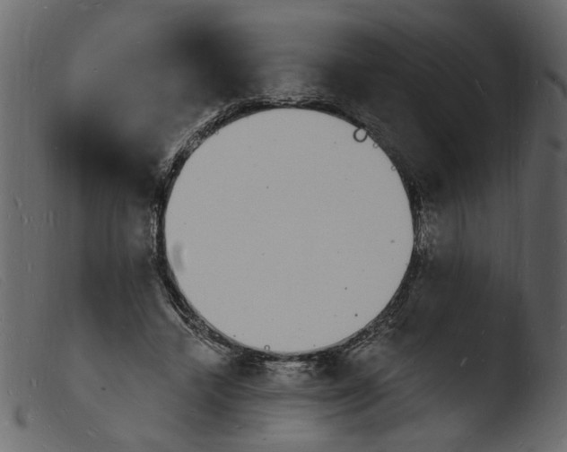 X0000103970448200810101312