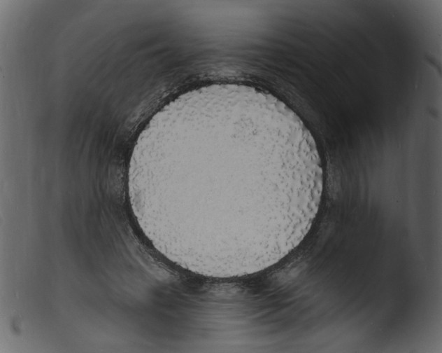 X0000103970449200810101312