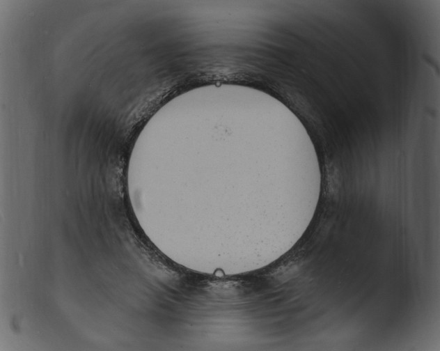 X0000103970450200810101312