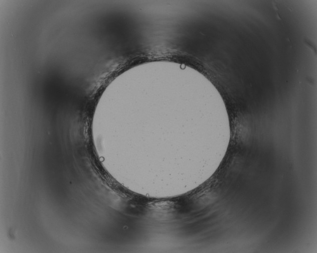 X0000103970452200810101312