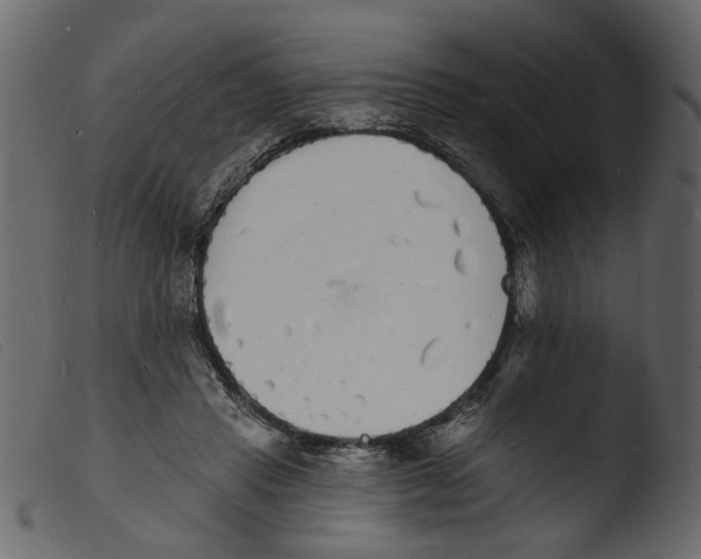 X0000103970453200810101312