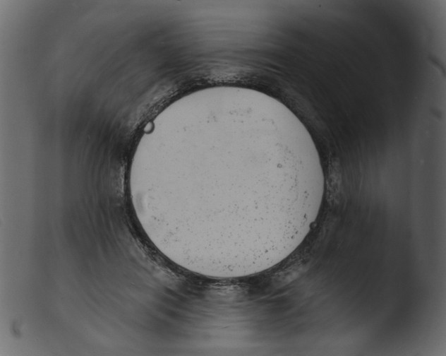 X0000103970454200810101312