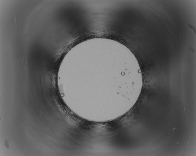 X0000103970456200810101312