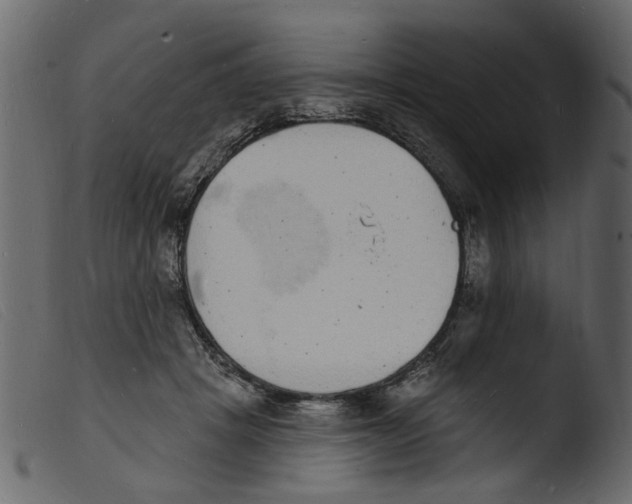 X0000103970457200810101312