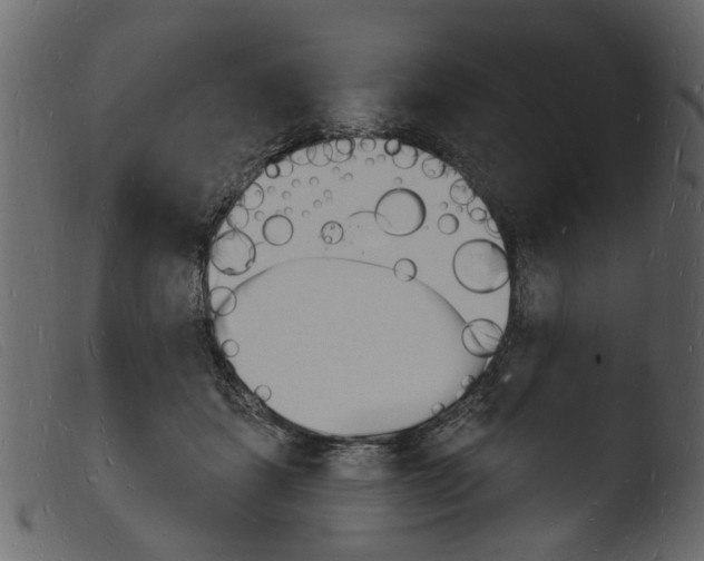 X0000103970459200810101312