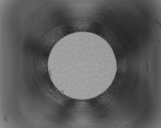 X0000103970460200810101312